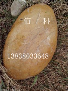 景觀(guān)鵝卵石生產(chǎn)廠(chǎng)家---佰科